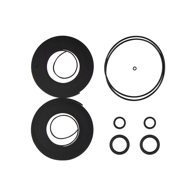 Tip seal kit